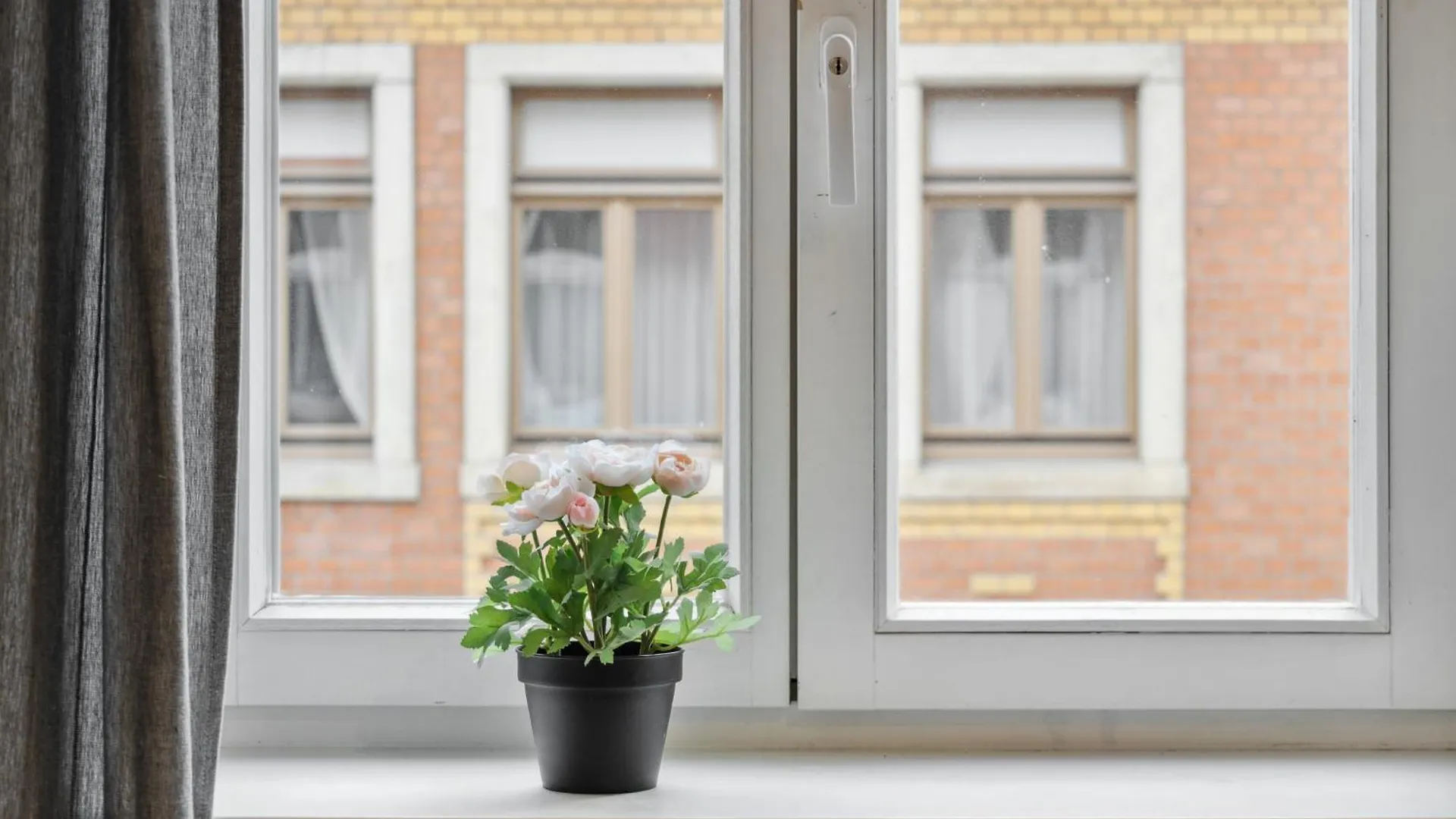 Home2Stay Apartmenthaus Dresden